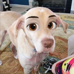 Meet your Posher, Kerry